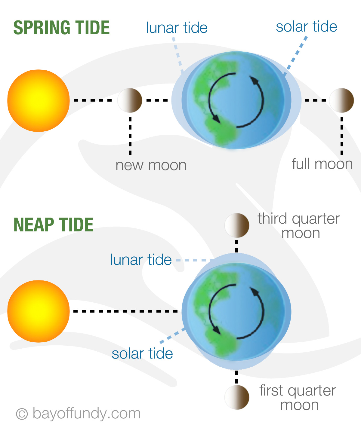 High And Low Tide Chart